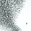 Wilco Sky Blue Sky (2LP)
