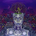 Erykah Badu New Amerykah Part 2 (2LP)