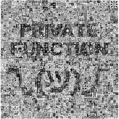 Private Function A Bunch Of Songs (LP)