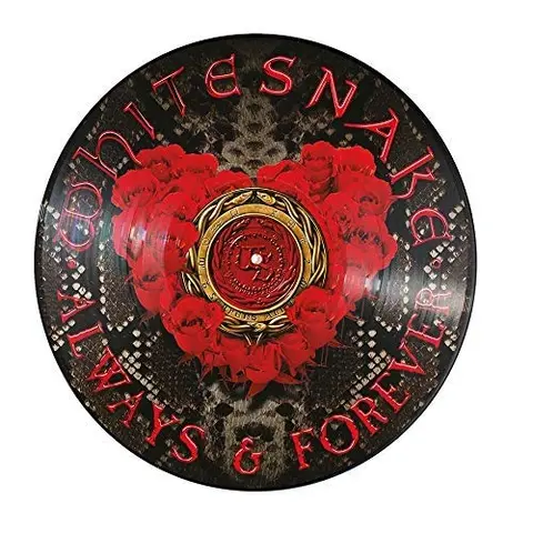 Whitesnake Always & Forever-LTD Picture Disc (12") 