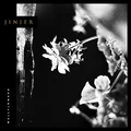 Jinjer Wallflowers (LP)