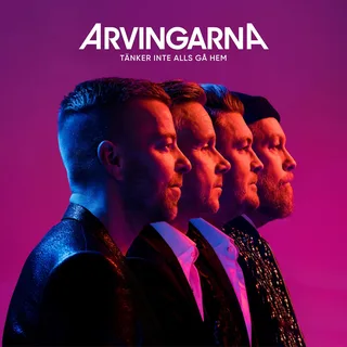 Arvingarna Tänker Inte Alls Gå Hem (LP)