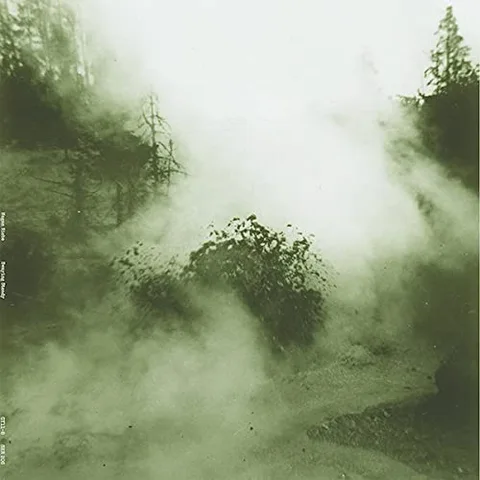 Megan Siebe Swaying Steady (LP) 
