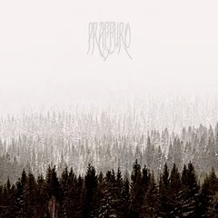 Praefuro Praefuro - LTD (12")
