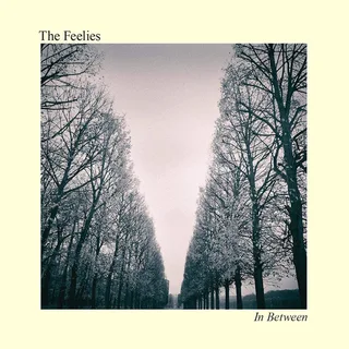 The Feelies In Between (LP)