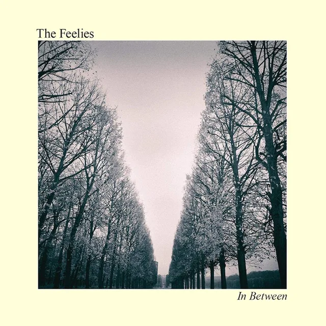 The Feelies In Between (LP) 