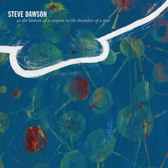 Steve Dawson At The Bottom Of A Canyon In The… (LP)