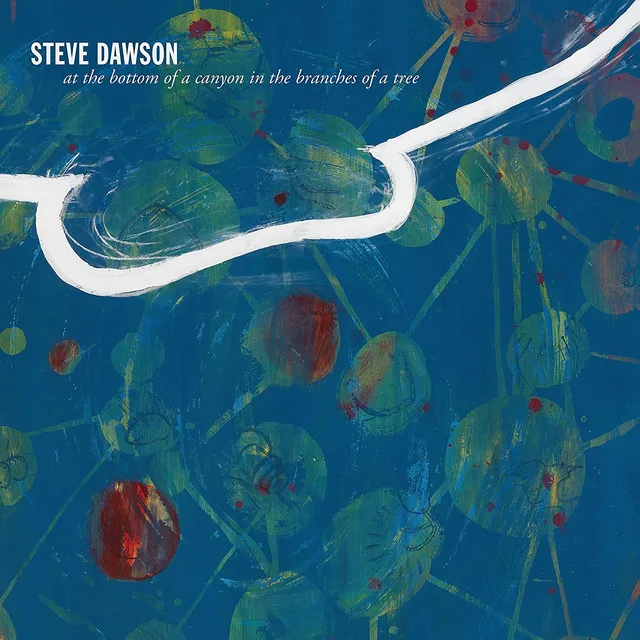 Steve Dawson At The Bottom Of A Canyon In The… (LP) 