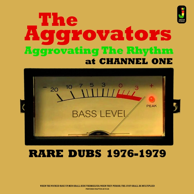 The Aggrovators Aggrovating The Rhythm 76-79 (LP) 