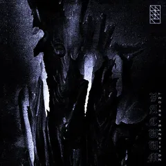 DSKNT Vacuum? - Noise Transition (MC)