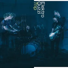 Elektro Guzzi Trip (2LP)