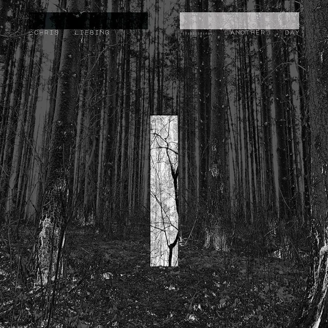 Chris Liebling Another Day - LTD (2LP) 