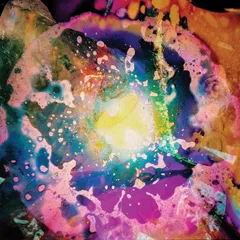 Possum Lunar Gardens (LP)