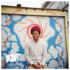 Toro Y Moi What For? - LTD (LP)