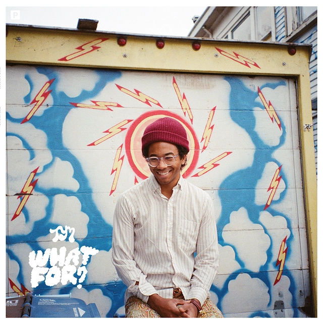 Toro Y Moi What For? - LTD (LP) 