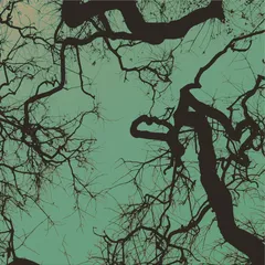 Föllakzoid Föllakzoid (LP)
