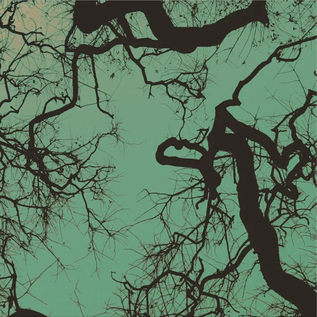 Föllakzoid Föllakzoid (LP) 
