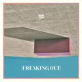 Toro Y Moi Freaking Out (LP)