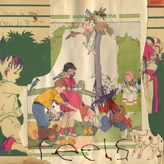 Animal Collective Feels (2LP)