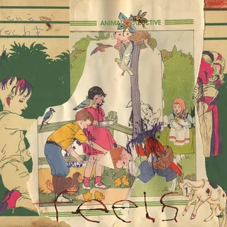 Animal Collective Feels (2LP)