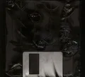 Master Boot Record Floppy Disk Overdrive (LP)