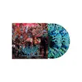 Vulvodynia Praenuntius Infiniti - LTD (2LP)