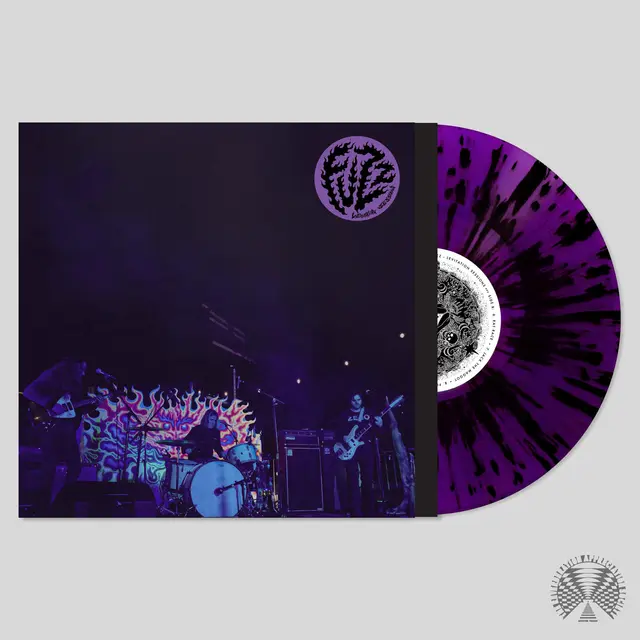 Fuzz Levitation Sessions (LP) 