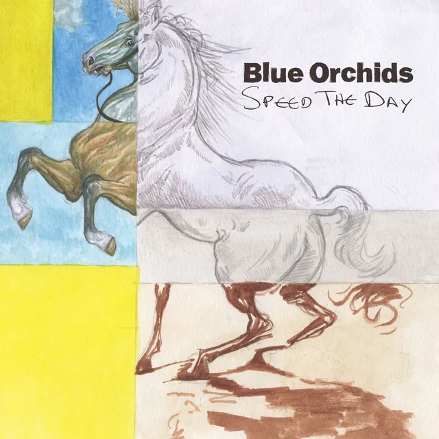 Blue Orchids Speed The Day (LP) 