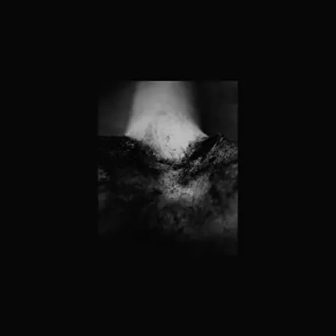 Common Eider/King Eider A Wound Of Body (LP) 