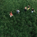 Parcels Loved (LP)