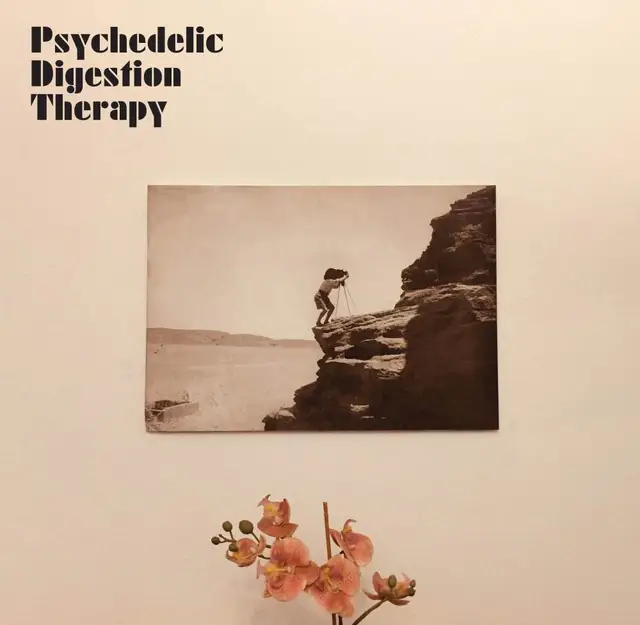 Psychedelic Digestion Therapy Psychedelic Digestion Therapy (LP) 