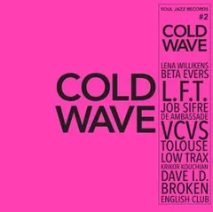 Diverse Artister Cold Wave # 2 (2LP)