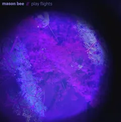 Mason Bee Play Flights (LP)