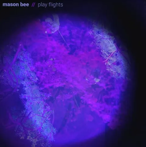 Mason Bee Play Flights (LP) 