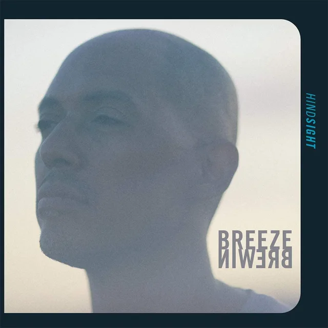 Breeze Brewin Hindsight (2LP) 