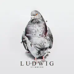 Stimming Ludwig (2LP)