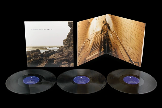 Polygon Window Surfing On Sine Waves: Expanded… (3LP) 