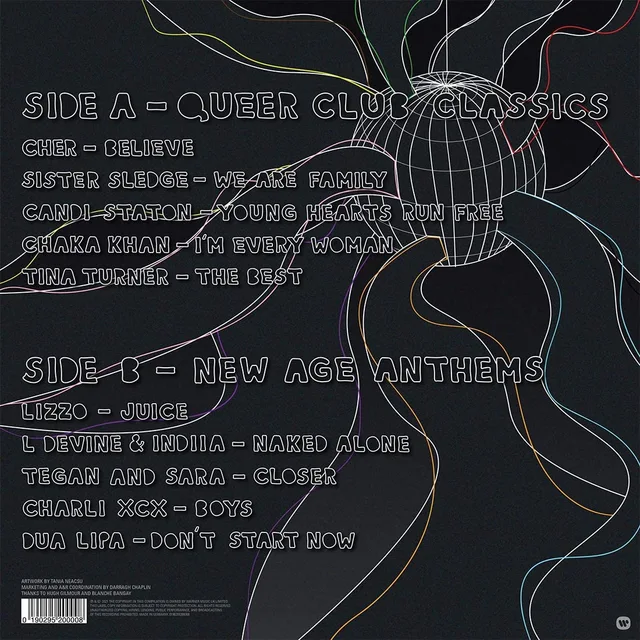 Diverse Artister Pride 2021 - LTD (LP) 