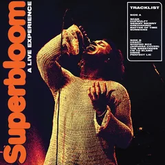 Ashton Irwin Superbloom: A Live Experience (LP)