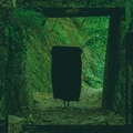 Psychonaut / Sâver Emerald (12")