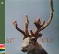 Saft Horn (CD)