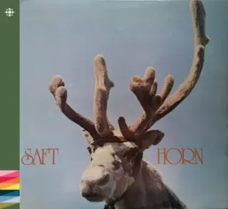 Saft Horn (CD)
