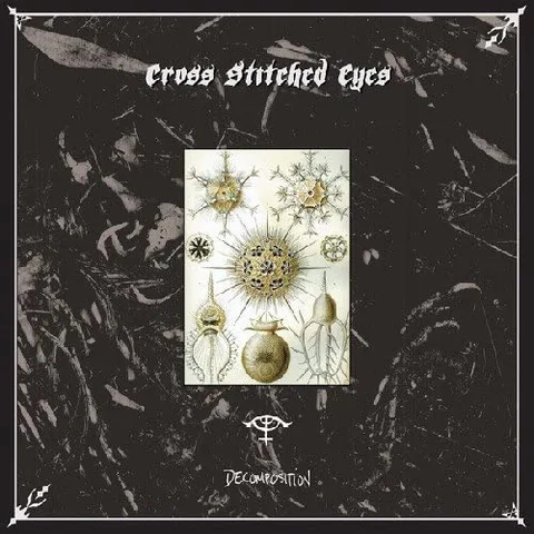Cross Stitched Eyes Decomposition (LP) 