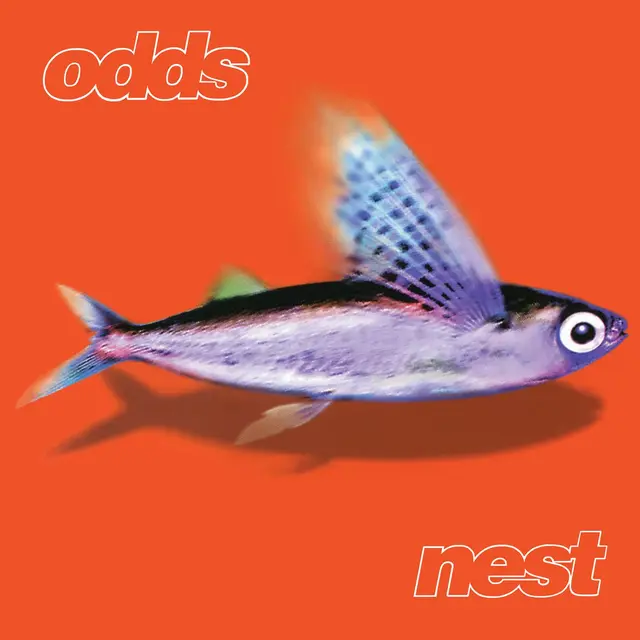 Odds Nest (LP) 