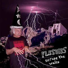 Fleshies Scrape The Walls (LP)