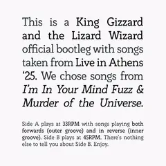 King Gizzard &amp; The Lizard Wizard Songs From I'm In Your Mind Fuzz… (LP)