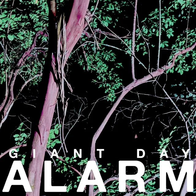 Giant Day Alarm (LP) 