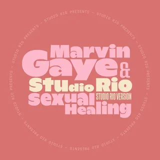 Marvin Gaye &amp; Studio Rio Sexual Healing (7")