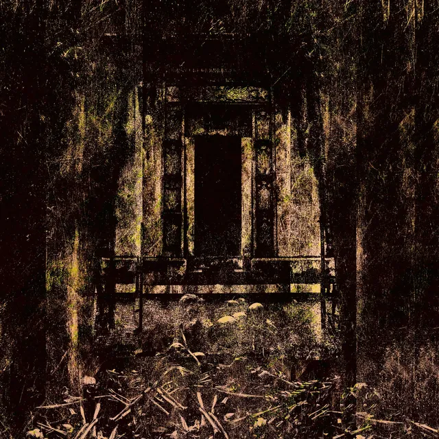 Coffin Lurker Foul And Defiled (LP) 