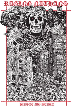 The Raging Nathans Waste My Heart (LP)